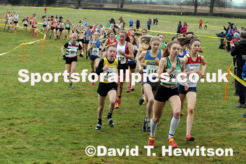 Womens under-17 Northern Cross Country Champs., Camp Hill Estate, Kirklington.  Photo: David T. Hewitson/Sports for All Pics